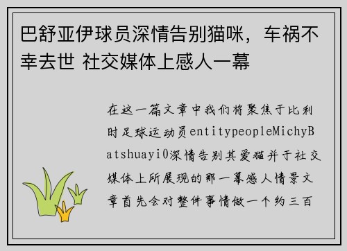巴舒亚伊球员深情告别猫咪，车祸不幸去世 社交媒体上感人一幕